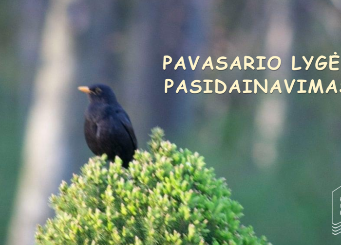Kovo 21 d. - pavasario lygės pasidainavimas su folkloro ansambliu „Mėguva“