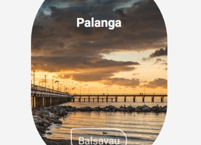 Balsuokime už savo miestą ir Palangos vardu pavadinkime AirBaltic lėktuvą