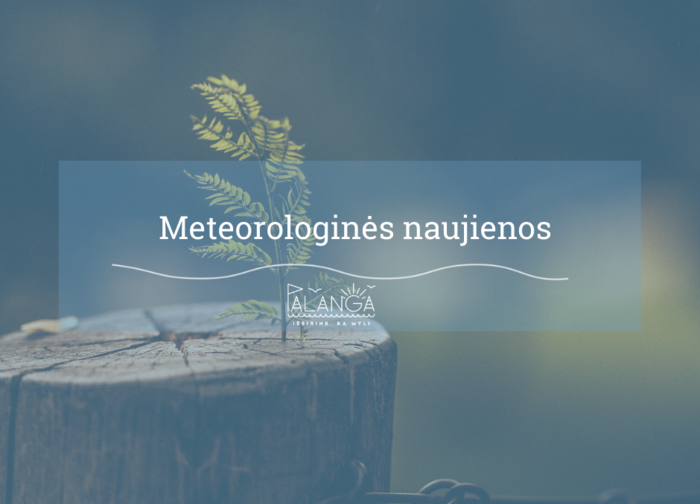 Perspėjimas apie stichinį meteorologinį reiškinį – labai smarkų vėją sausio 3-4 d.