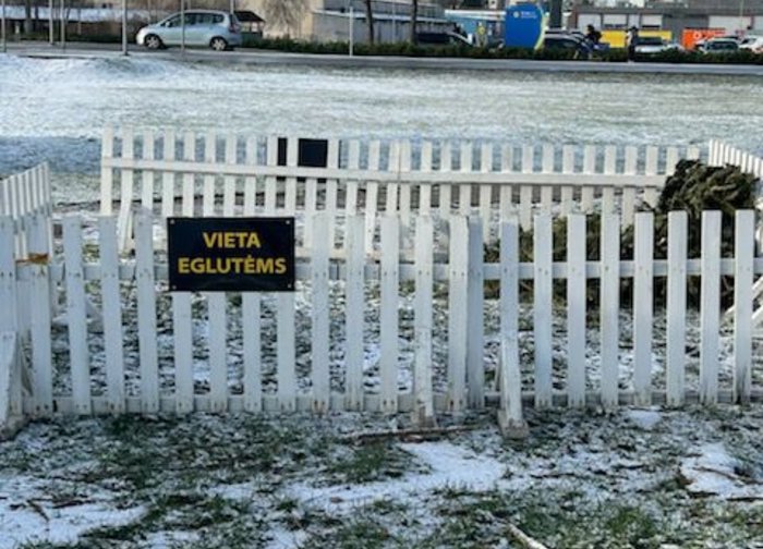 Atitarnavusioms Kalėdų eglėms – specialios surinkimo vietos