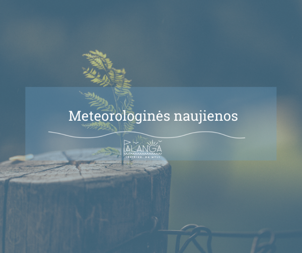 Perspėjimas apie stichinį meteorologinį reiškinį – labai smarkų vėją sausio 3-4 d.