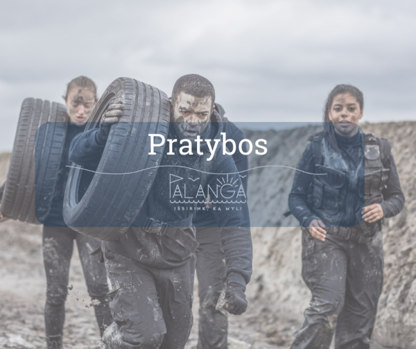 Sausio 27-31 dienomis Palangos ir Nemirsetos miškingose vietovėse vyks lauko taktikos pratybos