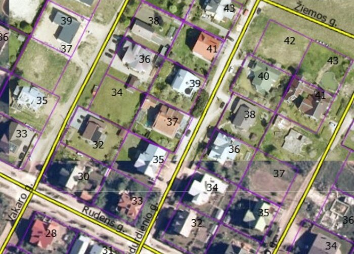 Rengiamas žemės sklypo Vidurdienio g. 39, Palangoje, formavimo ir pertvarkymo projektas