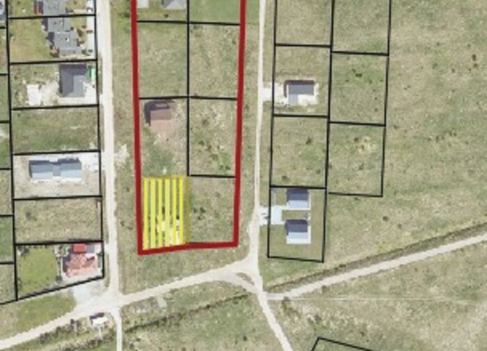 Rengiamas Nemirsetos detaliojo plano koregavimas žemės sklype, esančiame Lazdynų g. 31, Palangoje