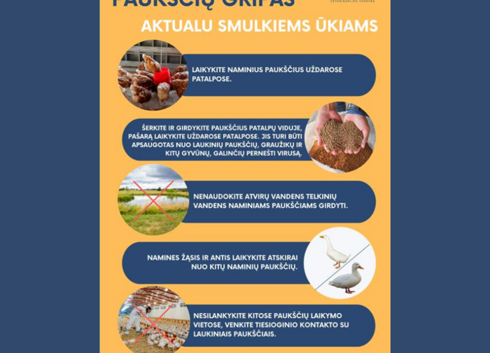 Paukščių gripas vėl Lietuvoje – židinys nustatytas Kaišiadorių rajone 