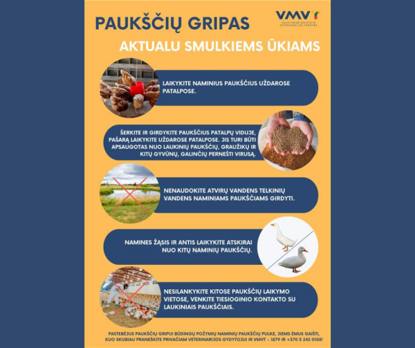 Paukščių gripas vėl Lietuvoje – židinys nustatytas Kaišiadorių rajone 