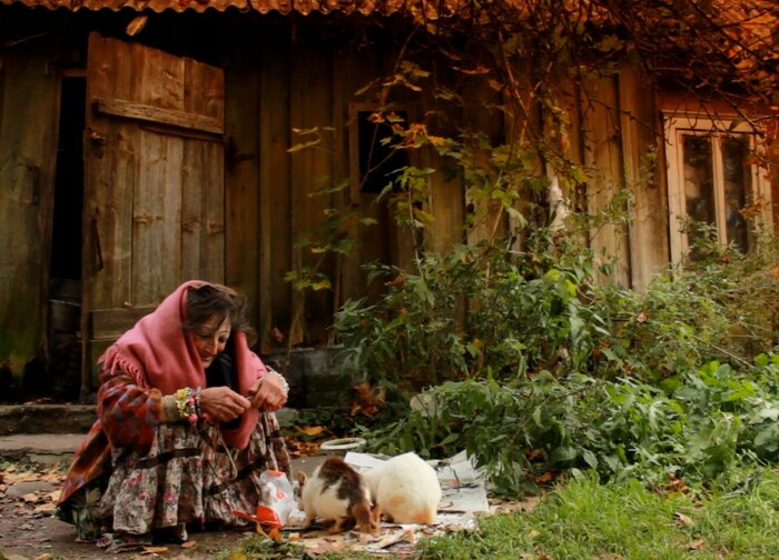 „Oldman Palanga“ vasarą užbaigs 8 dienų kino savaitė