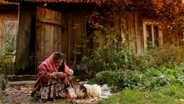 „Oldman Palanga“ vasarą užbaigs 8 dienų kino savaitė