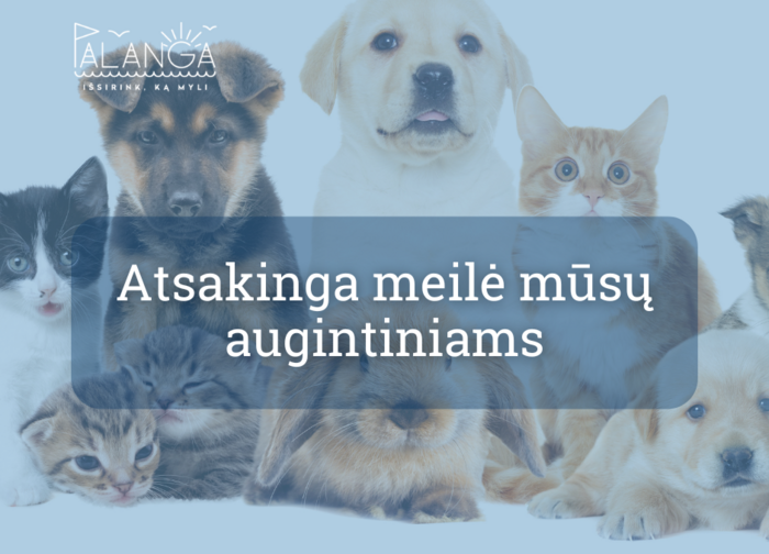„100 laimės centimetrų“: kaip išmatuoti augintinio laimę?