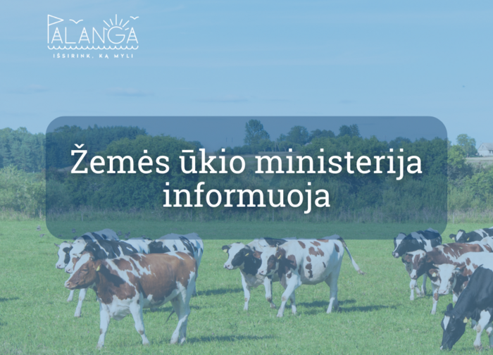 Galimi pirmieji mėlynojo liežuvio ligos atvejai Lietuvoje: kaip elgtis ūkininkams?