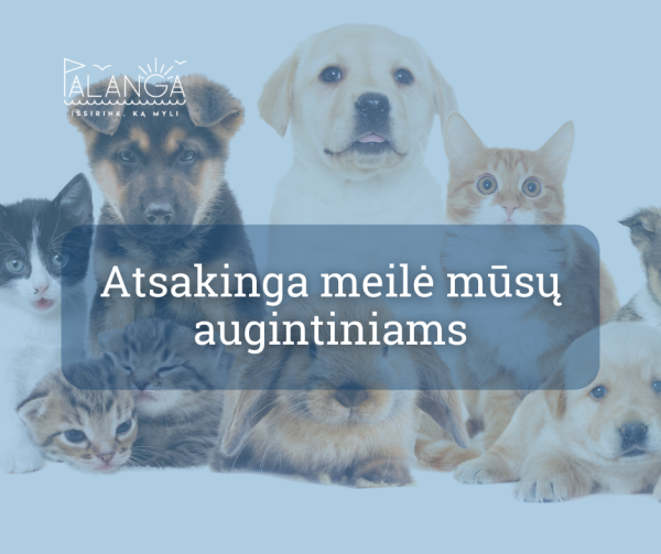 „100 laimės centimetrų“: kaip išmatuoti augintinio laimę?