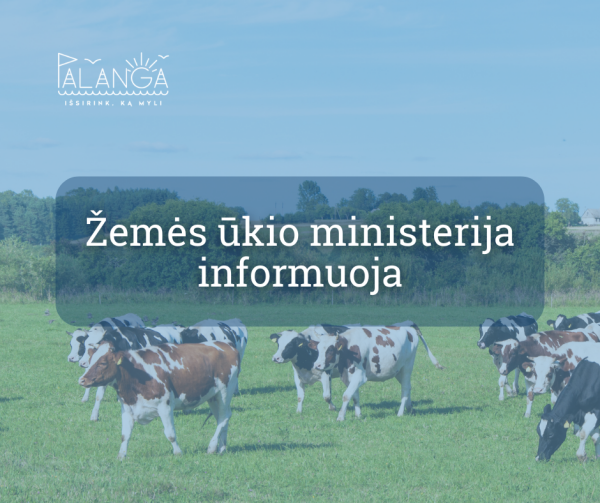 Galimi pirmieji mėlynojo liežuvio ligos atvejai Lietuvoje: kaip elgtis ūkininkams?