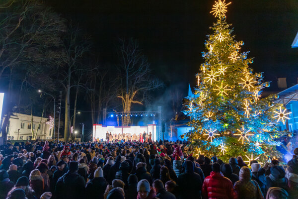 Palanga ieško kalėdinių eglučių! Padėkite kurti žiemos stebuklą! 