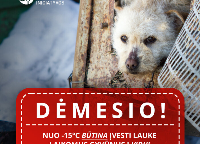 Minusinė temperatūra – pavojus gyvūnui! 