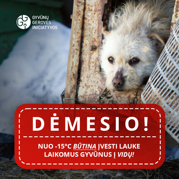 Minusinė temperatūra – pavojus gyvūnui! 