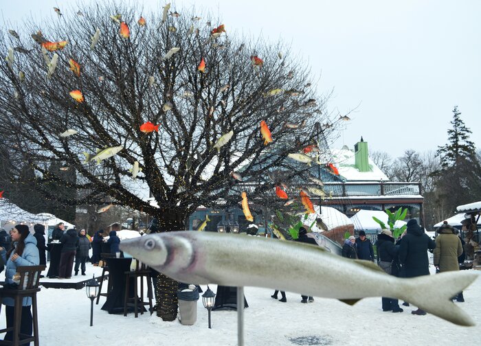 Kvapas, kurio neįmanoma supainioti – Palangoje prasidėjo Stintų šventė