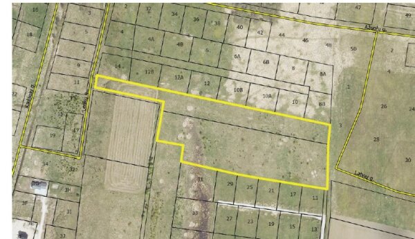 Informuojame apie parengtą Palangos miesto savivaldybės administracijos direktoriaus įsakymo...