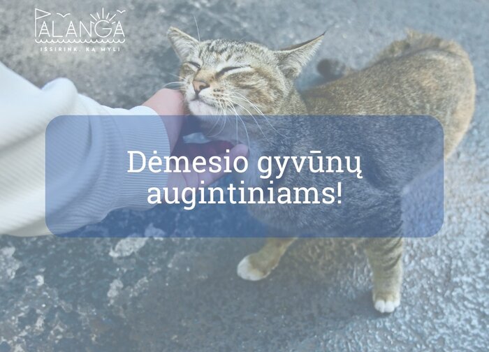 Informacija gyvūnų (šunų, kačių ir šeškų) šeimininkams