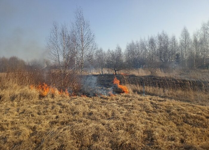 Palangos priešgaisrinė gelbėjimo tarnyba primena: nedegink žolės – tai pavojinga ir draudžiama