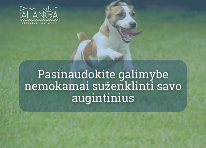 Pasinaudokite galimybe nemokamai suženklinti savo augintinius