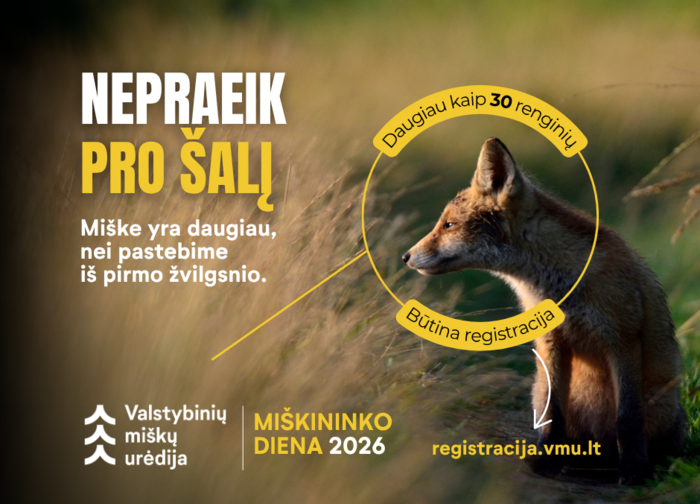 Miškininko dienos proga – daugiau kaip 30 renginių visoje Lietuvoje
