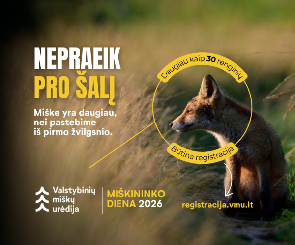 Miškininko dienos proga – daugiau kaip 30 renginių visoje Lietuvoje