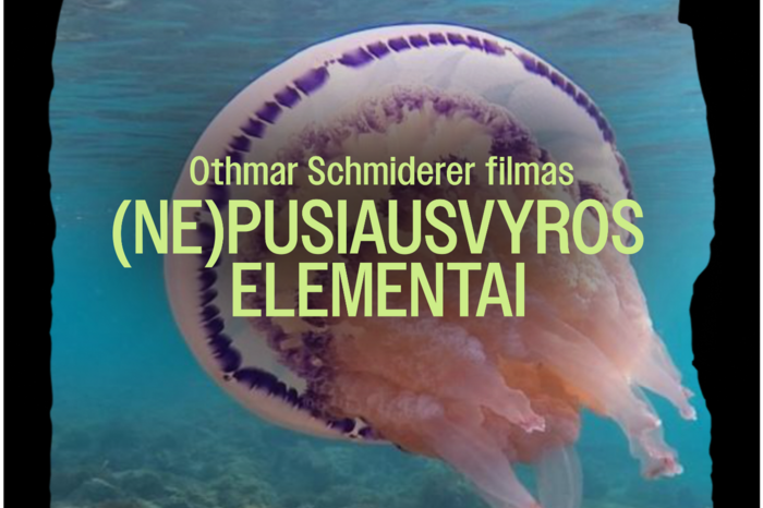Sengirės kinas. Dokuentinis filmas „(Ne)pusiausvyros elementai“