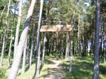 Sveikatingumo takas 