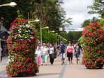 Palanga - itin populiarus kurortas