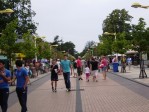 Palanga - poilsiautojų pamėgtas kurortas.