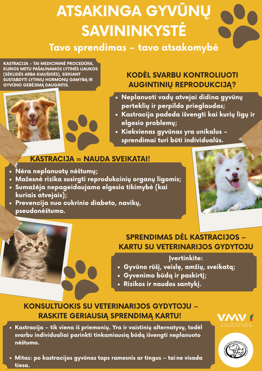 Gyvūnų ženklinimas